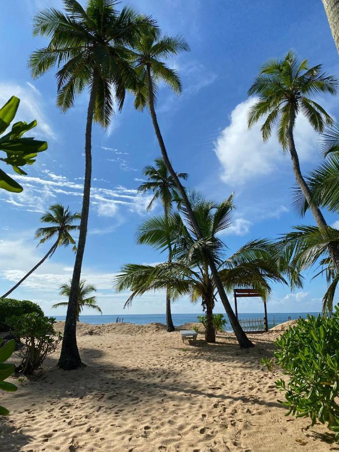 Tropical Garden Leilighet Tangalle Eksteriør bilde