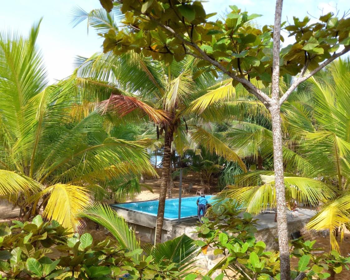 Tropical Garden Leilighet Tangalle Eksteriør bilde