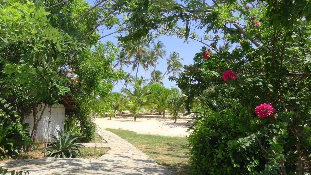 Tropical Garden Leilighet Tangalle Rom bilde
